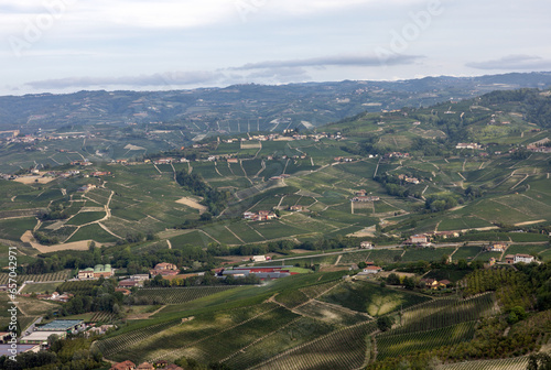 Langhe vineyards near Barolo and La Morra  Unesco Site  Piedmont  Italy