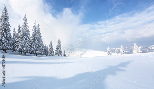 Winter forest panoramic. Lawn and trees covered with white snow. Landscape of mountains. Wallpaper background. Location place Carpathian, Ukraine, Europe. © Vitalii_Mamchuk