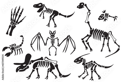 Bundle of dinosaur skeletons, dino bones, hand, Scorpio skeleton, Fish. Remains of ancient animals. Modern, Creative, fantasy vector flat design image illustration. Set of skeleton dino and dinosaur 