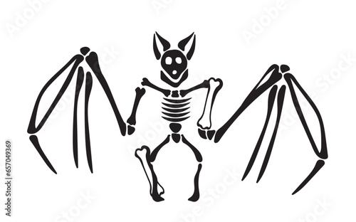 Bat skeleton, Bat bones. Modern, Creative, fantasy vector flat design image illustration 