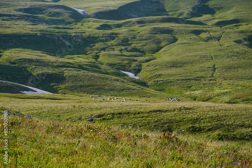 Tent camping in a beautiful mountain green valley at sunset.