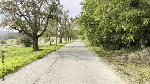 Radweg am Bodensee photo