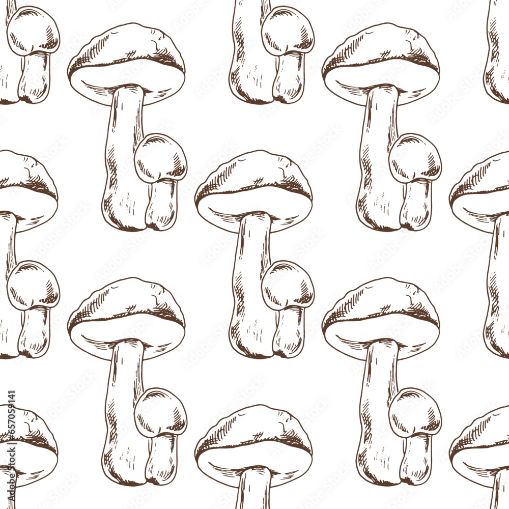 Seamless pattern of hand drawn boletus mushrooms. Vintage drawing. Eco food vintage vector illustration. Sketch illustration for print, web, mobile and infographics.
