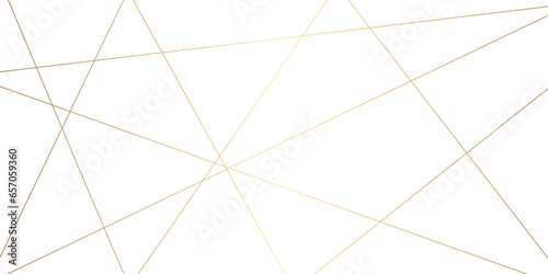 Luxury premium golden random chaotic lines abstract background. Luxury gold geometric lines with many squares and triangles shape background. Vector, illustration