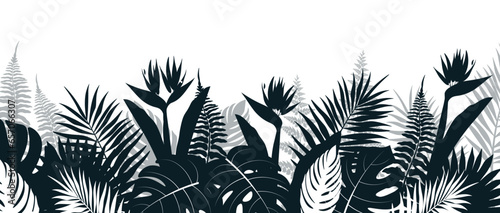 Background with silhouettes of tropical plants in cartoon style. Vector illustration of background with silhouettes of tropical plants: monstera, palm leaves, strelitzia, banana leaves and fern.