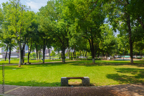 Wuhan Ziyang Lake Park scenery photo