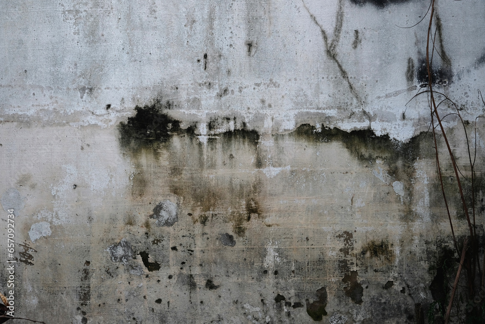 Obraz premium old wall background