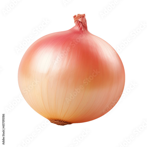 onion on transparent background 