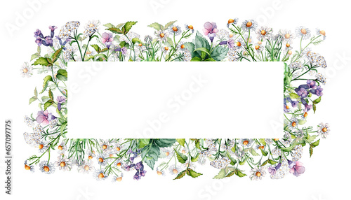 Wallpaper Mural Frame of meadow medicinal flower, lungwort herb plants watercolor illustration isolated on white. Daisy, chamomile, nettle, achillea millefolium hand drawn. Design for label, package, postcard Torontodigital.ca