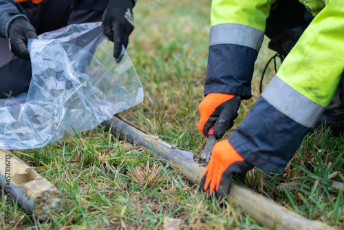 Worker collects soil sample from core drill and putting it to plastic bag, closeup side view