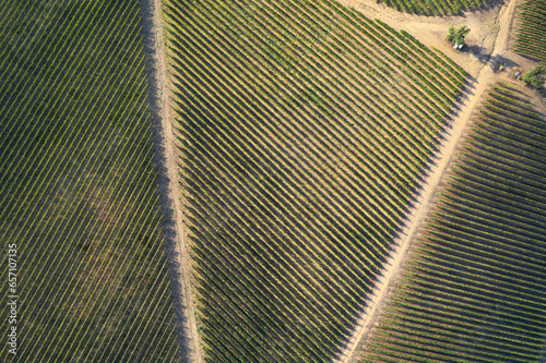 Aerial photographic documentation of a vineyard