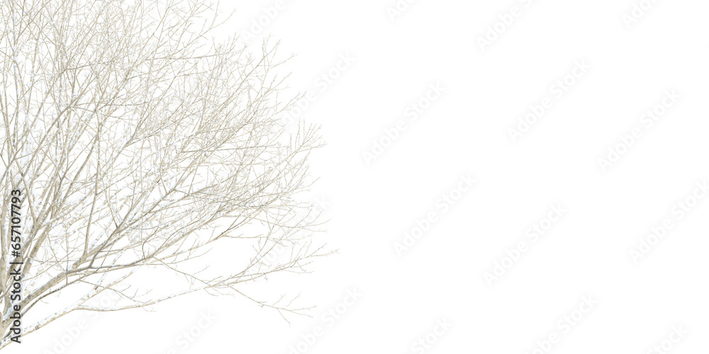 snow covered branches snow covered branches
