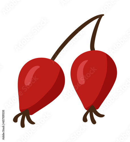 Rose hip branch isolated on white background Thanksgiving Day. Autumn red berries with leaves icon for package design. Vector fruit illustration in flat style