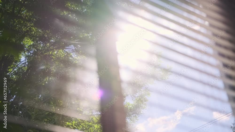 Sun shining through window blinds close. Slow motion shot