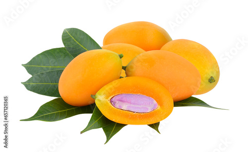 marian plum or plango on transparent png photo