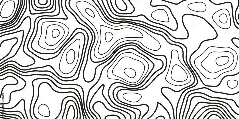Topographic Background. Gray and White Abstract Background with Wavy Lines. Black and White Pattern of Lines and Curves. Topographic Topography Topographic Background. Gray and White Abstract Background with Wavy Lines. Black and White Pattern of Lines and Curves. Topographic Topography
