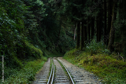 Train track in Alishan national park in Taiwan