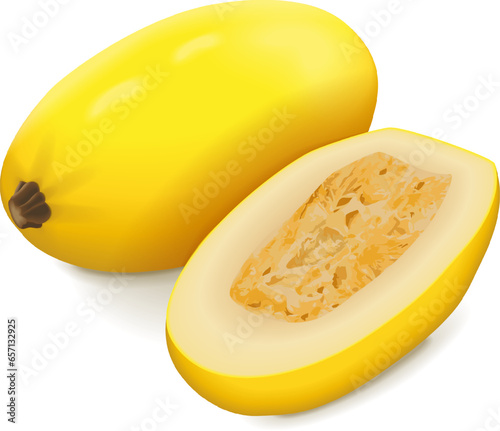 Whole and half of Orangetti Spaghetti Squash. Winter squash. Cucurbita pepo. Fruits and vegetables. Isolated vector illustration. photo