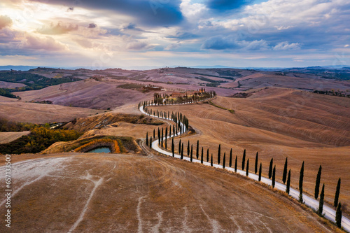 Hills, olive gardens and small vineyard under rays of morning sun, Italy, Tuscany. Famous Tuscany landscape with curved road and cypress, Italy, Europe