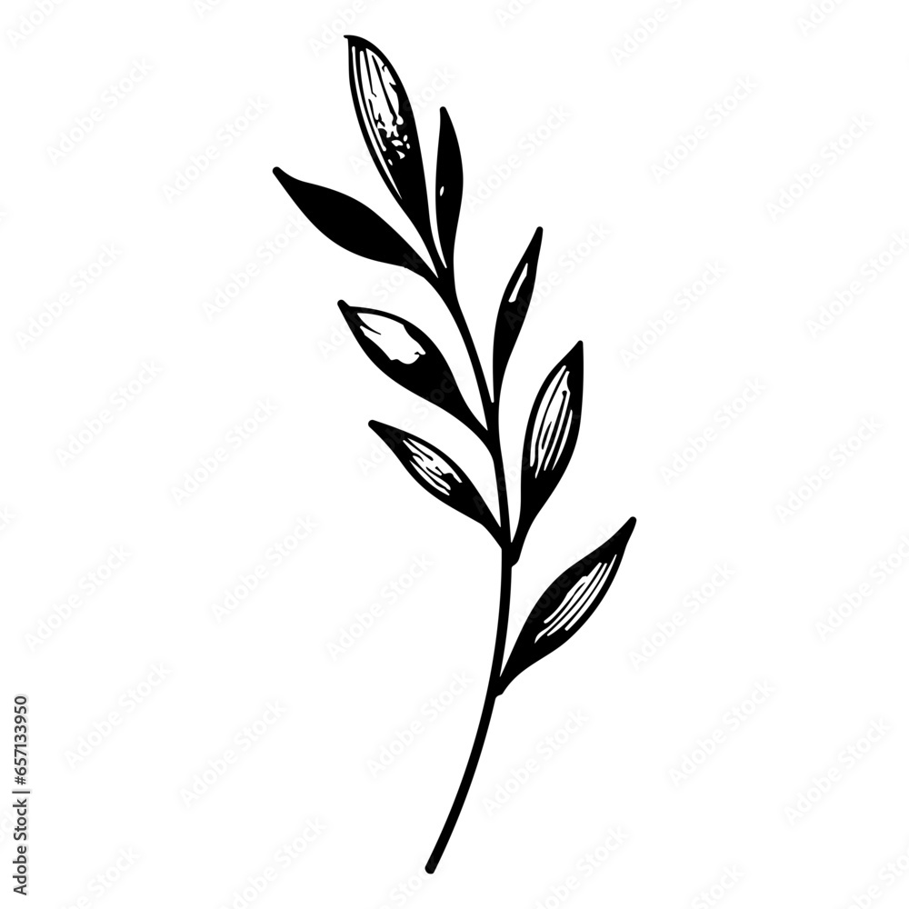 plants, leaves. Hand drawn decorative elements.
