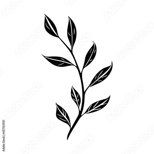 plants, leaves. Hand drawn decorative elements.
