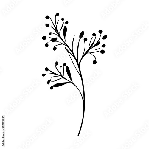 plants, leaves. Hand drawn decorative elements.
