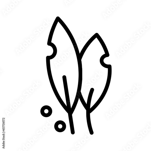 Bay Leaves Spice Icon