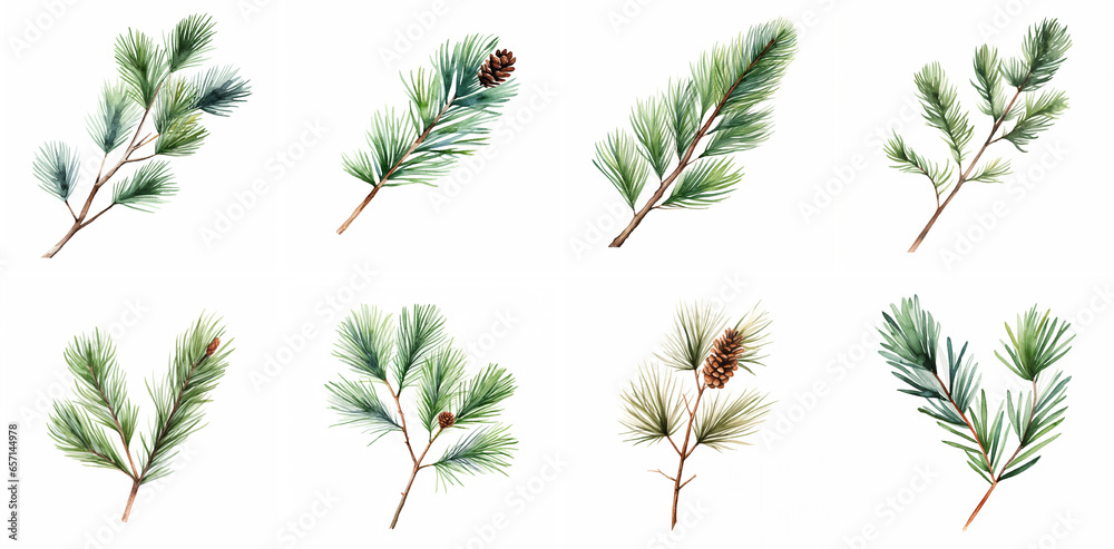 Fir tree watercolor illustration set. generative Ai Fir tree watercolor illustration set. generative Ai