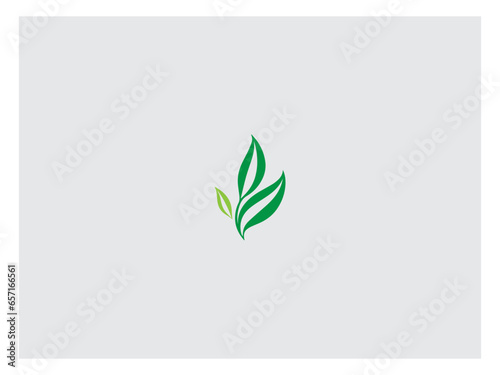 leave logo design, vector and illustration,