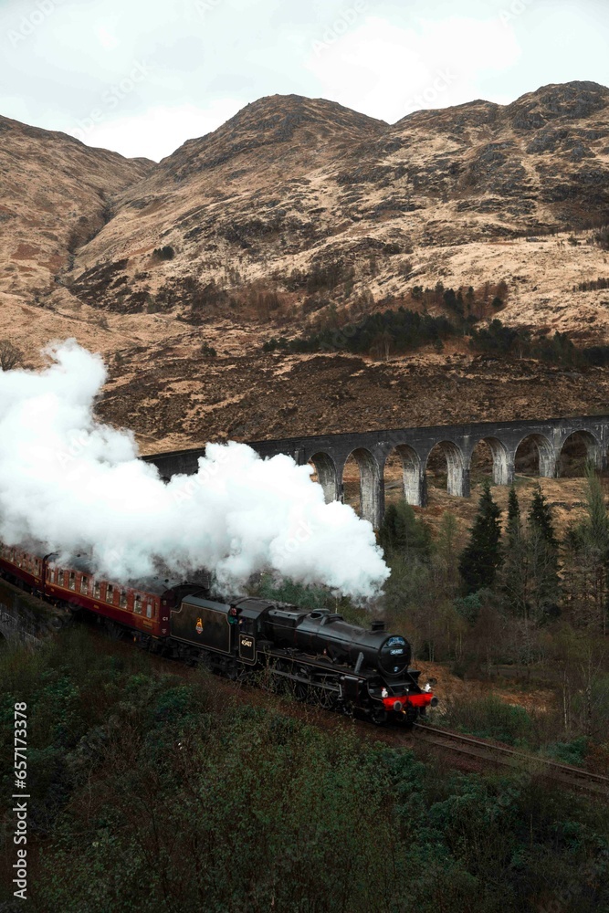 Fototapeta premium Tren de vapor pasando por un acueducto en Escocia. Paisaje de película Harry Potter. Tren Jacobita. Glenfinnan