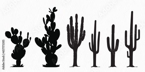 Silhouette set of Desert plants, desert trees, cactus, coconut tree, palm, Century plant,  Thompson yucca, prickly pear.