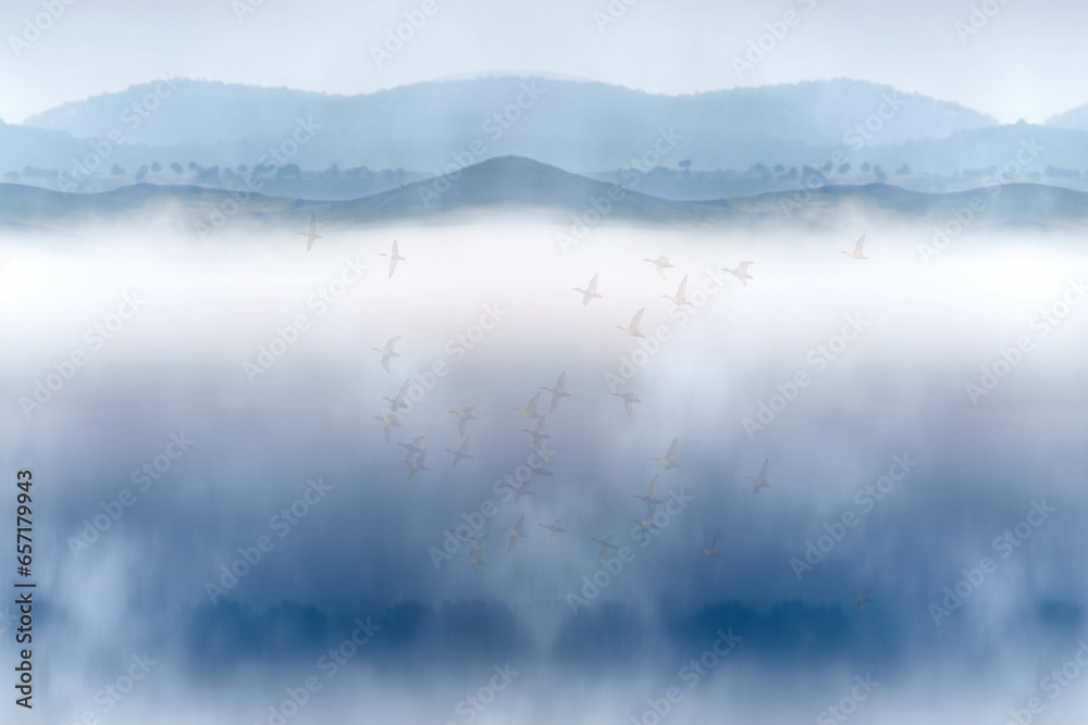 Flying ducks. A simple and natural background. 