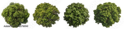 Top view of dense green foliage trees, isolated on transparent background generative ai