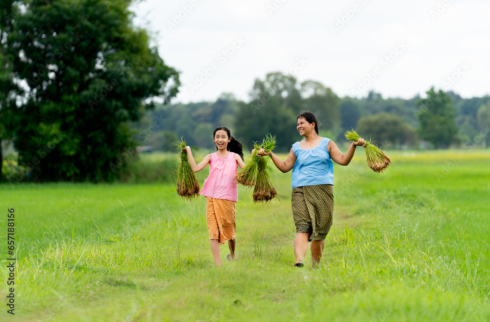 Young Asian girls hold rice seedlings and walk on road in rice field with big tree on the background.
