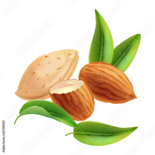 almonds with leaves and almond