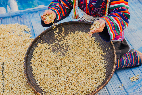 Coffee beans that have been polished.