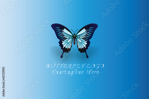 butterfly logo design