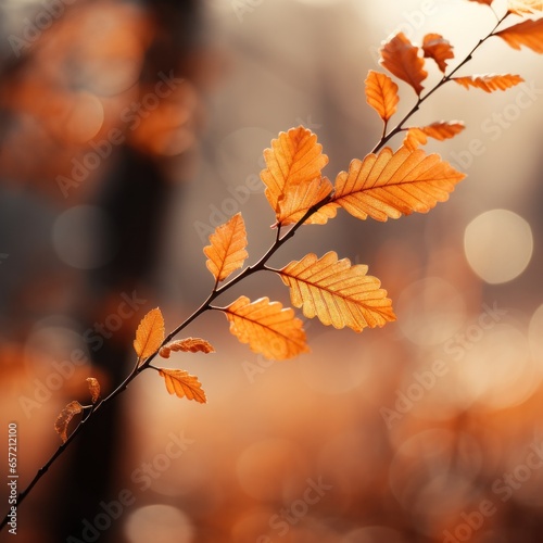 Soft focus autumn leaves in warm hues