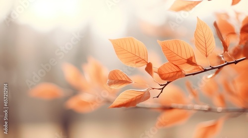 Soft focus autumn leaves in warm hues