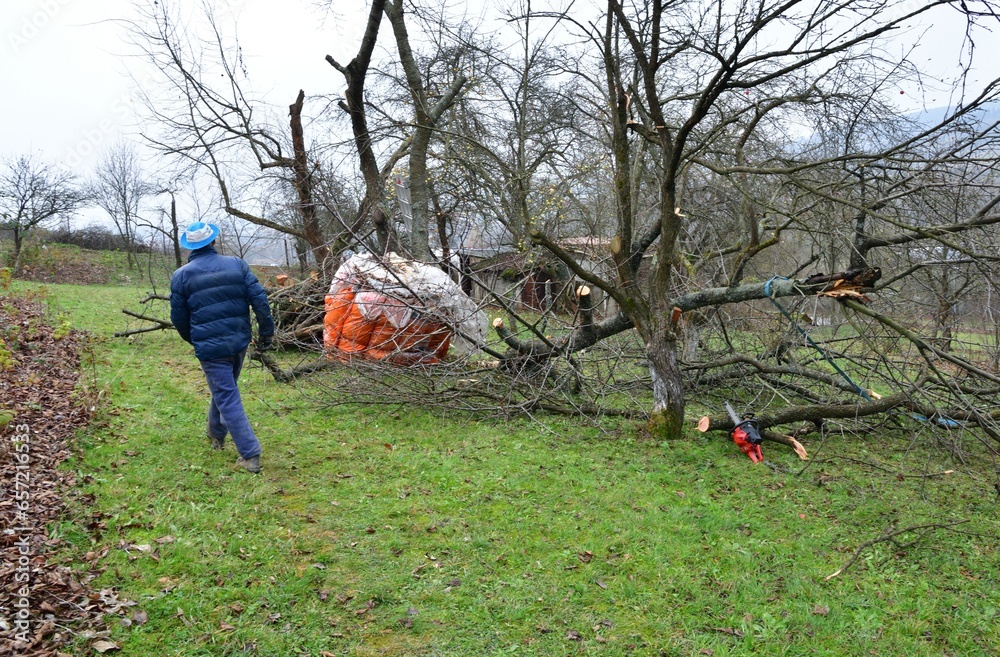Autumn work in the garden and pruning branches and trees