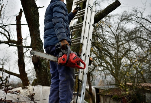 Obraz na płótnie Dangerous work in the heights of the tree and trimming branches with a saw w salonie