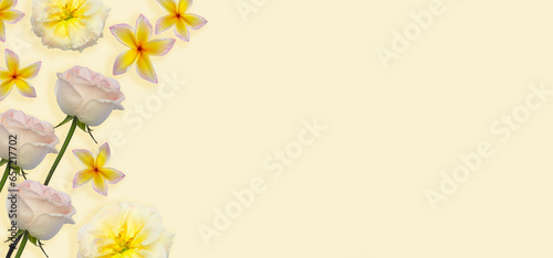 Yellow floral assorted roses and plumeria flower border on copy space background