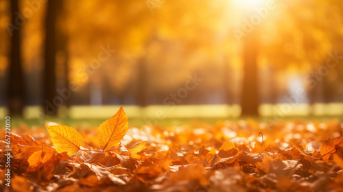 Autumn background with autumn leaves falling down