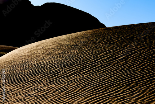Dunes in morning light