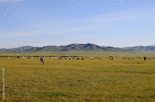 Beautiful landscape of Orkhon Valley, Mongolia photo