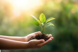 Human hands holding a young plant with green bokeh background.