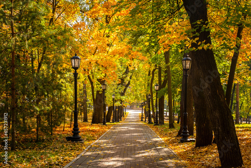 Autumn day in a city park