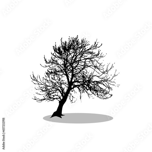 Tree vector image png