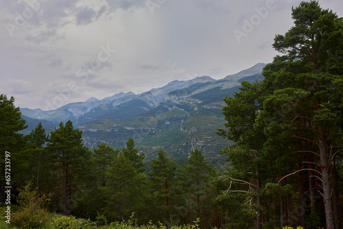 Mountain landscape with fir forest on a cloudy day