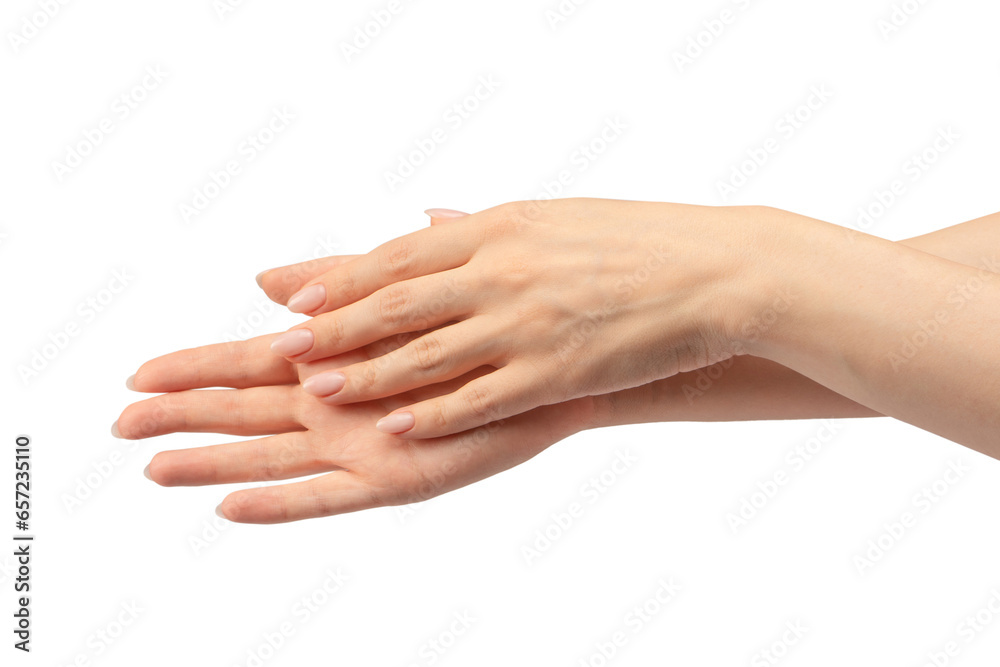 Woman hands  isolated on a white background.